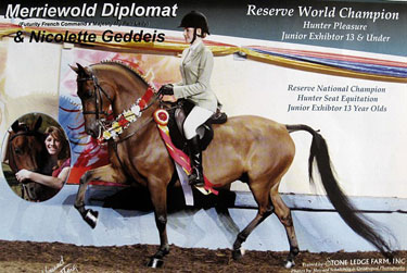 Diplomat