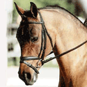 Jazz's Photo Album
