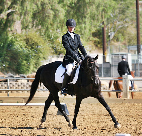 Jolie performing a bending trot