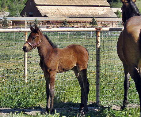 Kirin at 6 weeks