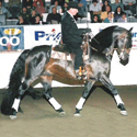 Renegade image courtesy of Cowboy Dressage