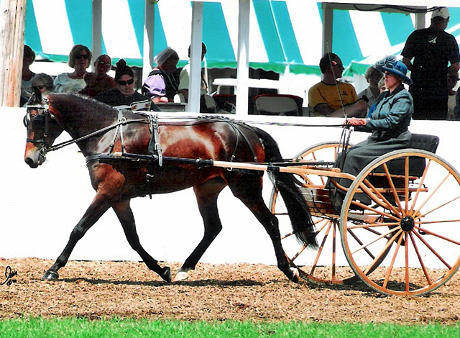 Pocket carriage driving