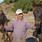 Ubaldo and the weanlings