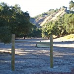 New Yearling Pasture