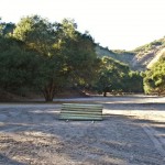 Yearling Pasture