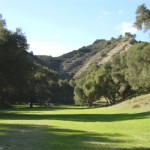 Yearling Pasture