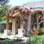 Wisteria at front door