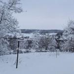 Winter at the Weyrauchâ€™s