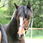 kandie-head shot