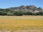 22-acres-after-harvest