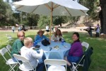 Full table at Lunch time-wlg