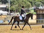 Galaxie sb show dressage trot