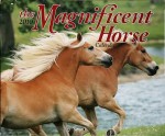 Magnificent Horse Calendar