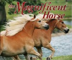 Magnificent Horse Calendar