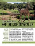 The Morgan Horse article on Merriewold