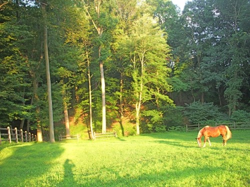 Sunset at Hedden Spring.php