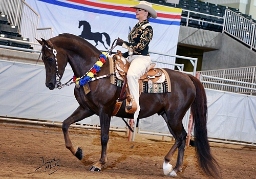 Jesse's 2013 Show Season