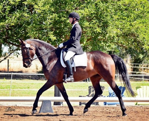 Alejandro and Kirin Dressage Classic, 5