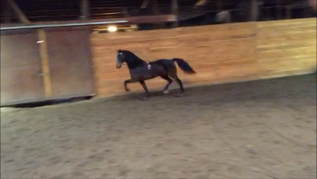 Kandie, New Shortie Video, Trotting Loose