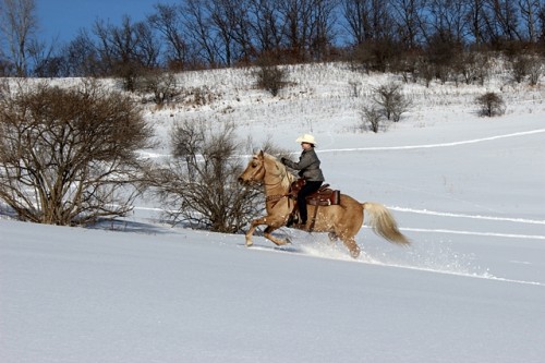 Golden Winter