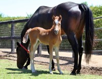 Quintessa and Mommy