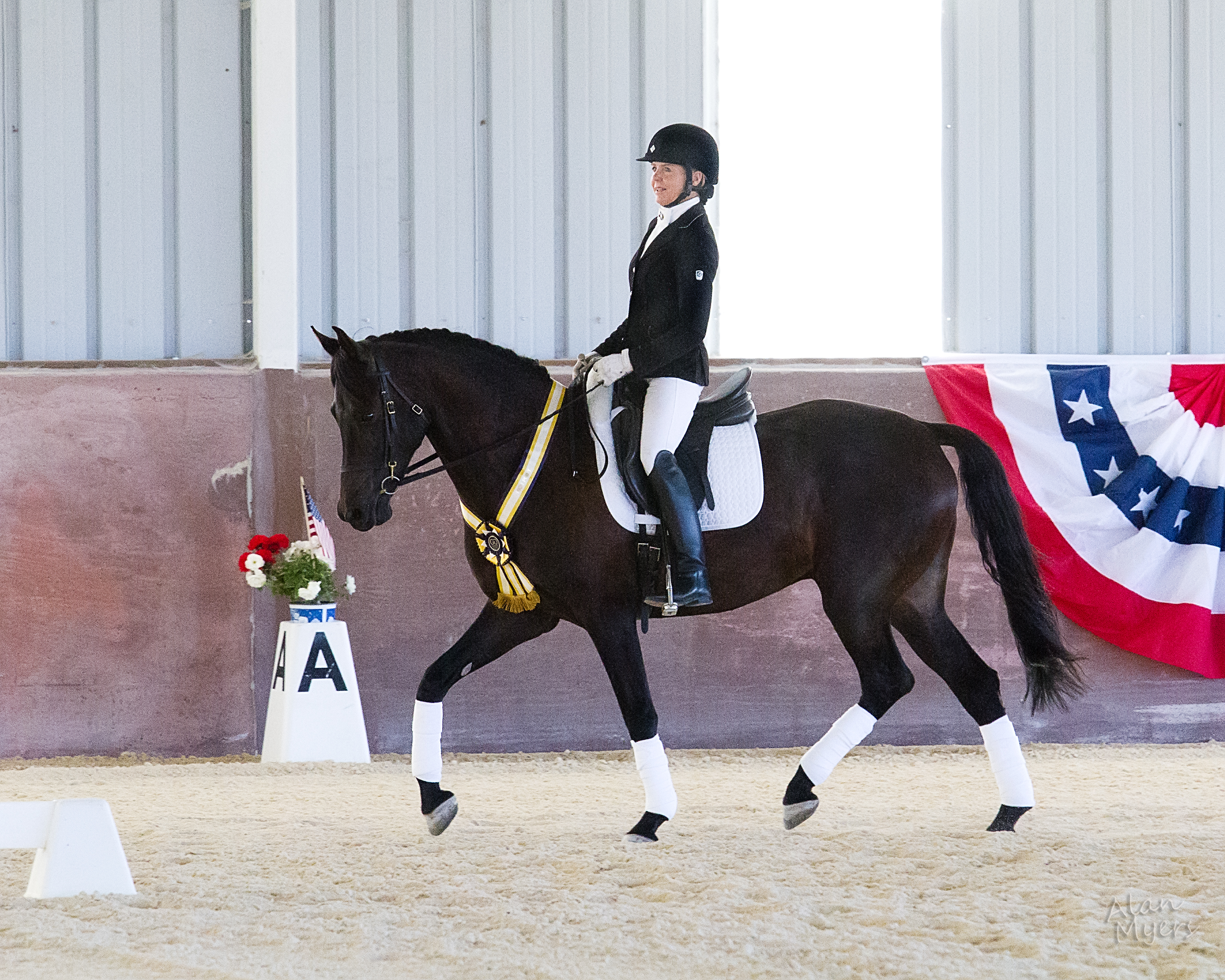 IT’S OFFICIAL, LUCKY IS A USDF ALL BREEDS CHAMPION!