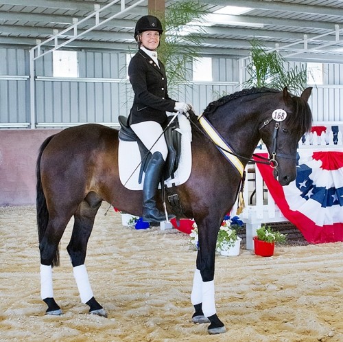 Dressage at the Gaits - July 4, 5 & 6, 2014