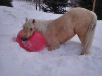 I Love My Ball, by Corrie MacMurchy