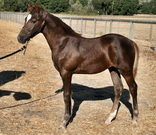 Quintessa 3 mos, sept 2014