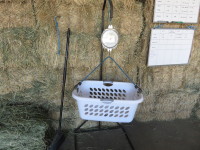 Scale and basket setup to weigh hay