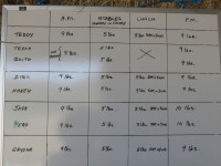 Hay feeding chart