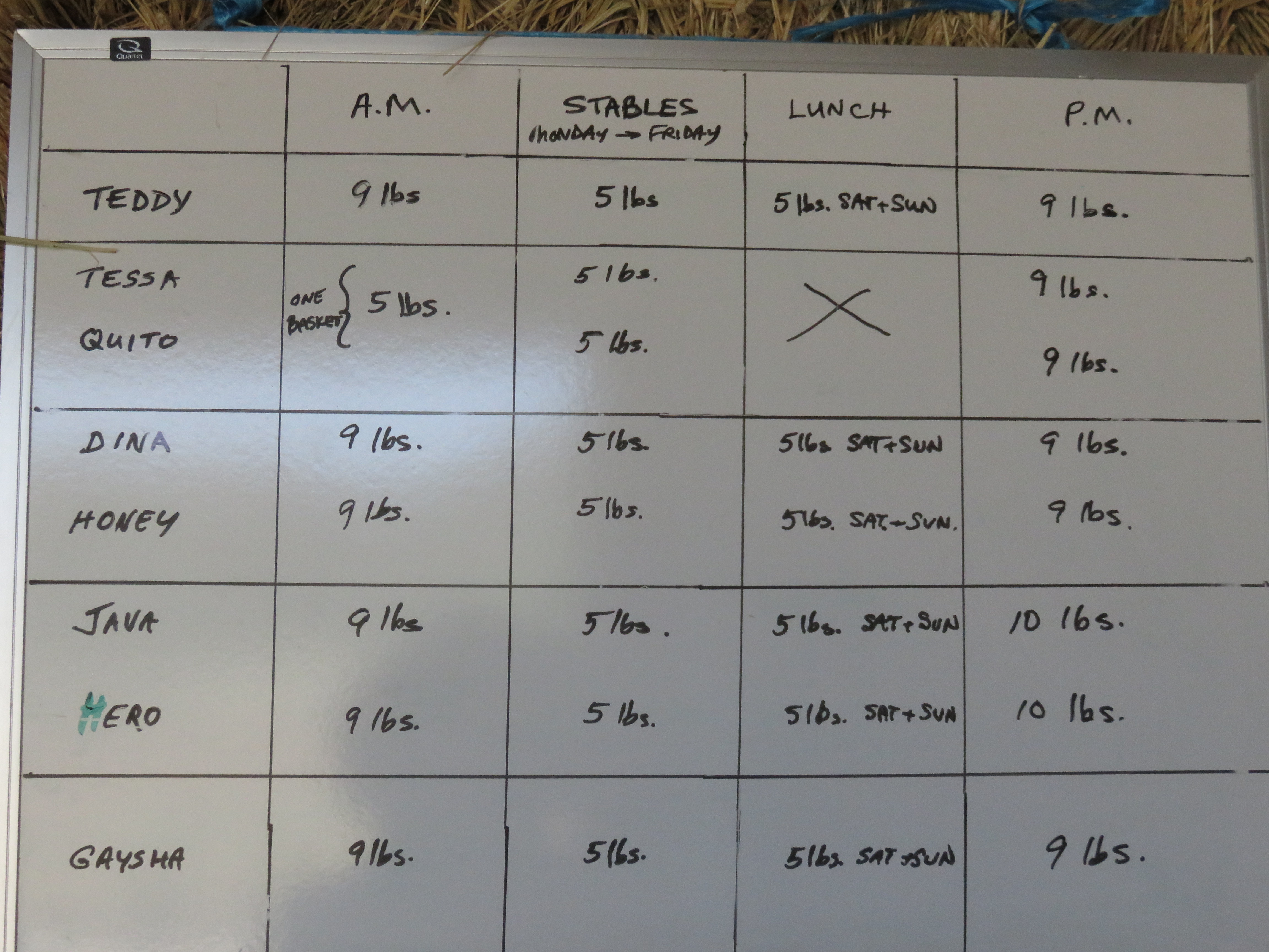 Horse Feeding Chart