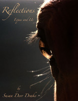 Reflections, Equus and Us