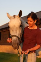 Crystals healing broodmare