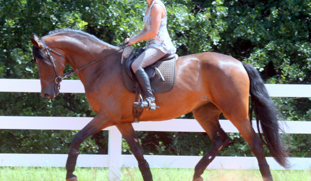 Mia now in training with Mallory Mignot