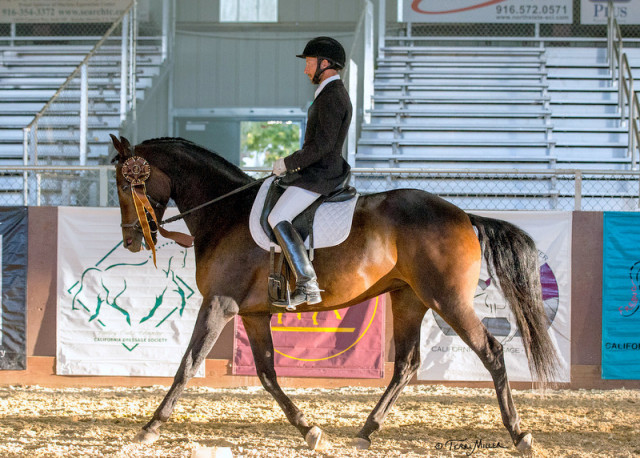 Alejandro Salazar and Kirin 2015 Regional Championships