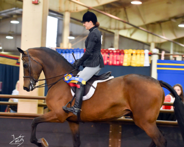 Mallory and Mia win Hunter Opportunity Championship