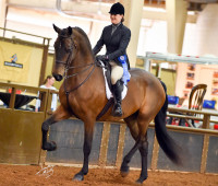 Mia and Mallory win Hunter Opportunity Class